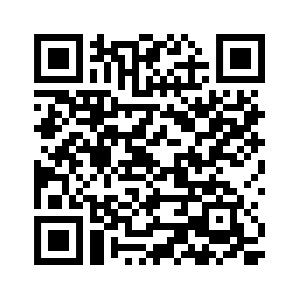 QR Code Conteo