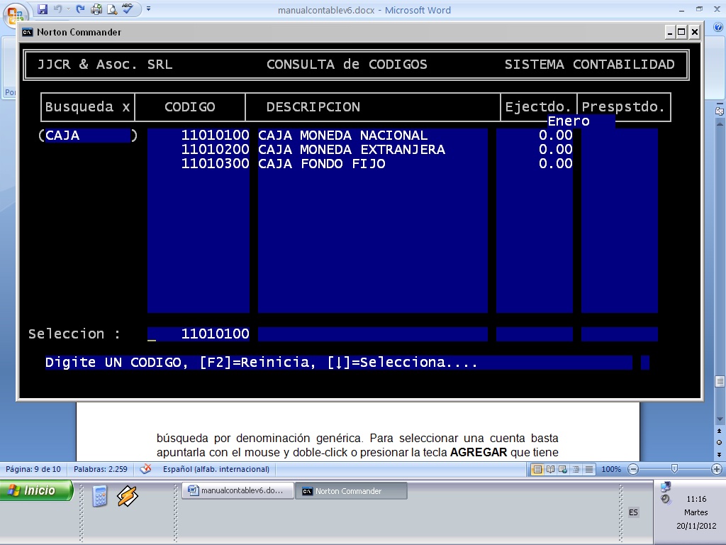 Pantalla de Consulta de Códigos